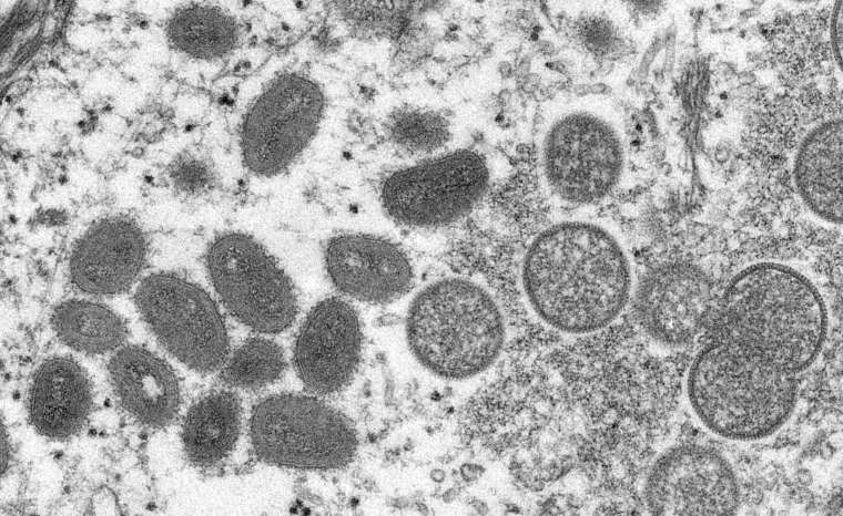 世衛專家認為，目前無需立即大規模接種猴痘疫苗 (圖片：AFP)