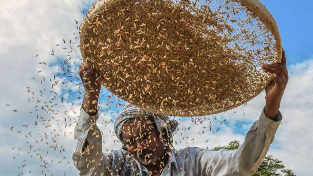 全球糧食保護主義抬頭 恐加劇通膨問題(圖片：AFP)