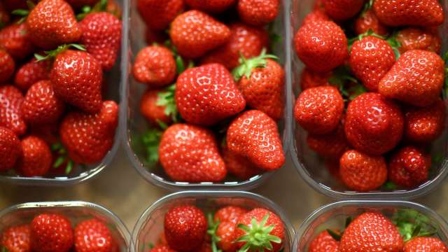 美加民眾疑因遭汙染的有機草莓感染A肝 當局展開調查 (圖片：AFP)