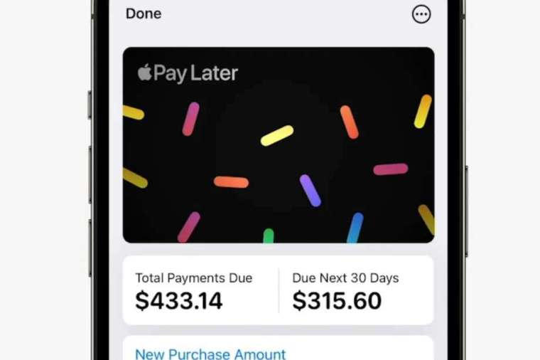 Apple Pay Later，圖來自蘋果