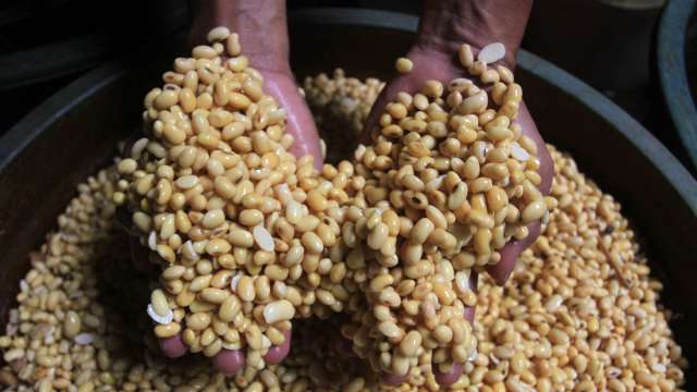 〈商品報價〉美元飆升引發賣壓 黃豆期貨下挫2.2%。(圖:AFP)