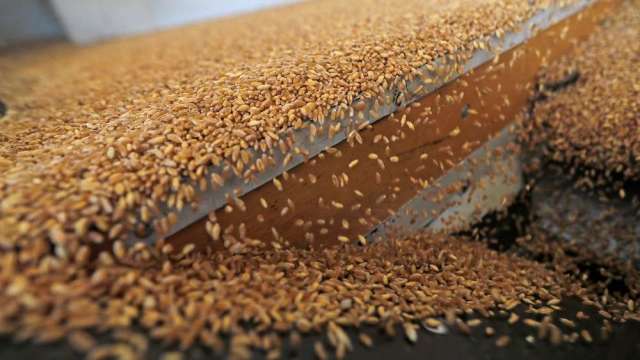 〈商品報價〉收穫季節壓力 小麥期貨跌破10美元關卡。(圖:AFP)