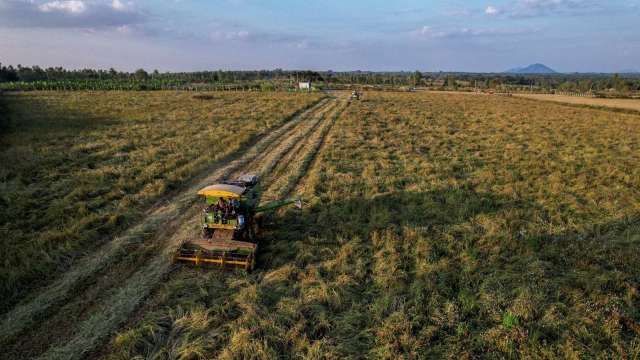 穀物期貨大跌後小幅走高 玉米再登美農產品之王(圖片：AFP)