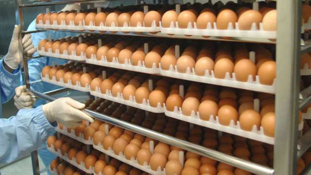 雞蛋產地價再調漲 農委會：受三大因素影響。(圖：AFP)