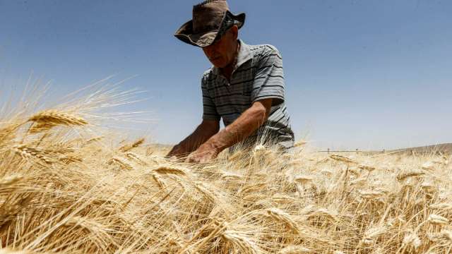 俄烏達成穀物出口協議 小麥價格暴跌至戰前水平 (圖片：afp)