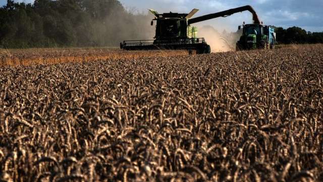 俄羅斯襲擊港口危及糧食出口協議 小麥價格大漲(圖:AFP)