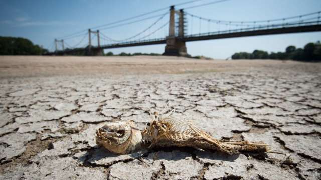 歐洲面臨近500年來歐洲最嚴重的一場乾旱。(圖：AFP)