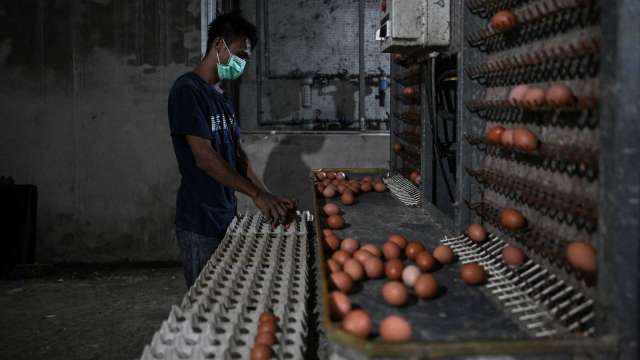 美国禽流感爆发 鸡蛋价格创新高(图片：AFP)(photo:CnYes)