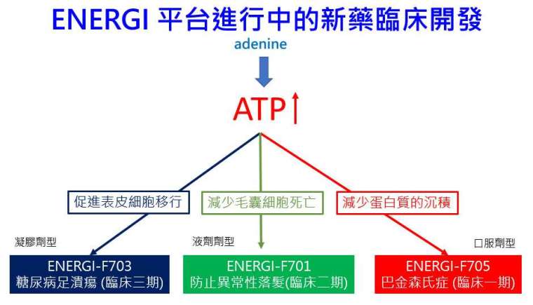 臨床三期階段。(圖:華安醫學提供)