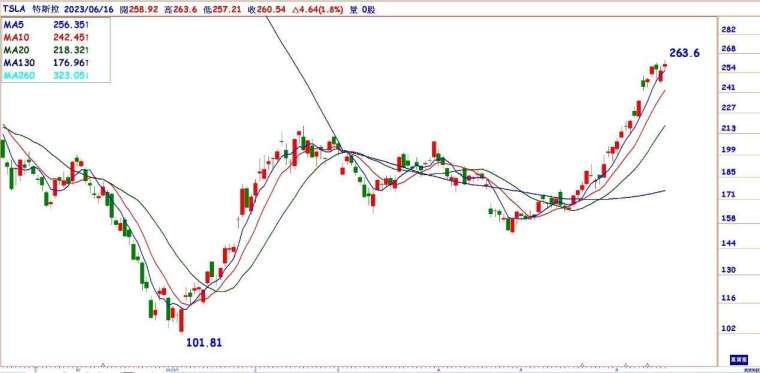 圖 : 特斯拉日線圖