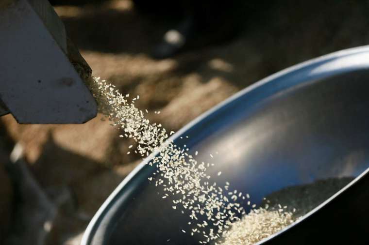亞洲國家並不是唯一受到印度稻米出口禁令打擊的地區  (圖：REUTERS/TPG)