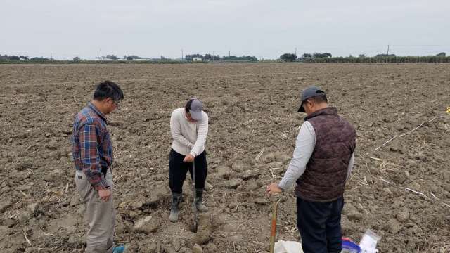 台糖參與小農種碳專案人員採集甘蔗栽種前之土壤基線樣本送測。(圖：經濟部提供)