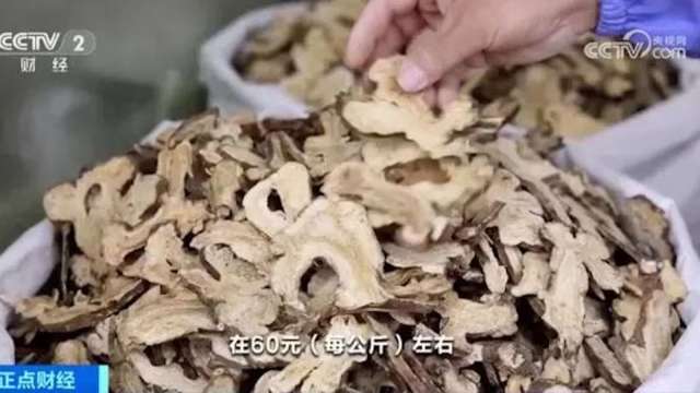 白朮漲到商家「不敢拿貨」。（圖：CCTV）