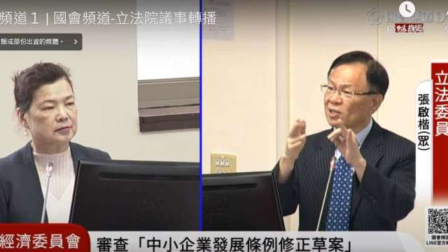 經濟部長王美花2日上午接受立委張啟楷針對電價凍漲案的質詢 (圖：國會頻道)