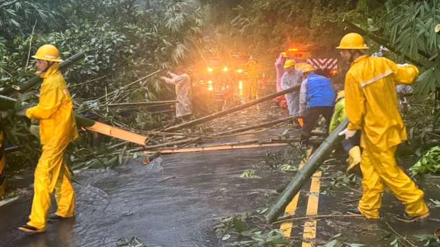 凱米颱風來襲，台電於新竹五峰鄉樹木傾倒壓線搶修。 （圖：台電提供）