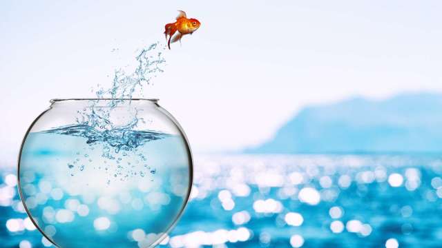 品牌客戶展望強,製鞋廠成長可期(圖:shutterstock)