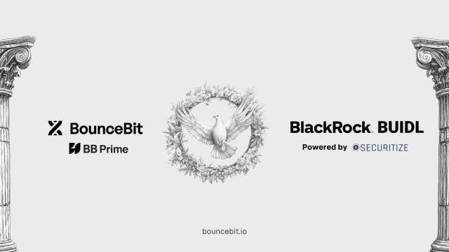 CeDeFi 基礎設施平台 BounceBit 成功推出全球首個基於 BlackRock USD Institutional Digital Liquidity Fund