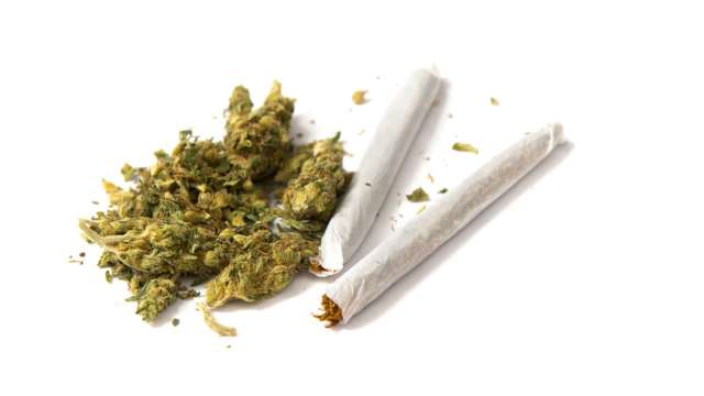 泰國擬重新將大麻列為毒品。(圖:Shutterstock)