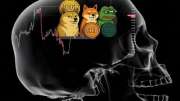 news img