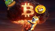 news img