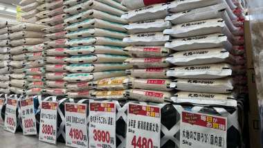 日本談判代表因「稻米」問題取消訪美！美日關稅談判分歧仍存
