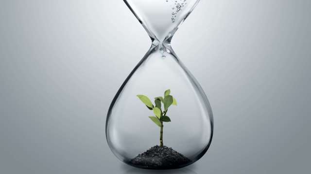cover image of news article