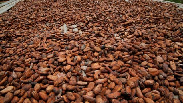 cover image of news article