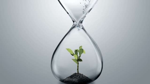 cover image of news article