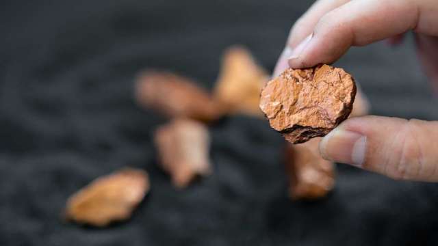 cover image of news article