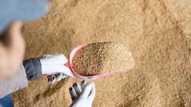 美財長貝森特:中國承諾本季採購1200萬噸美國黃豆(圖:shutterstock)