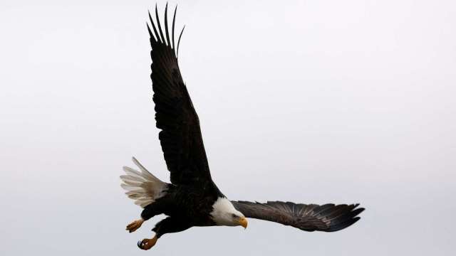 鮑爾暗示Fed今年可能不會再降息 原因為何?