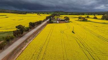 澳洲給中國發貨,加拿大農民急了。(圖:觀察者網)