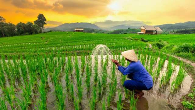 cover image of news article