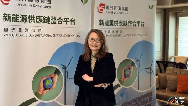 麗升能源董事長林麗珍。(鉅亨網資料照)