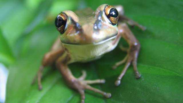 cover image of news article