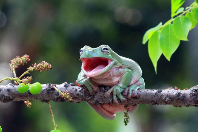 (圖片：shutterstock)