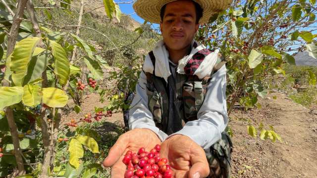 一聲令下咖啡價格崩了!川普取消巴西關稅 全球期貨跳水(圖:REUTERS/TPG)