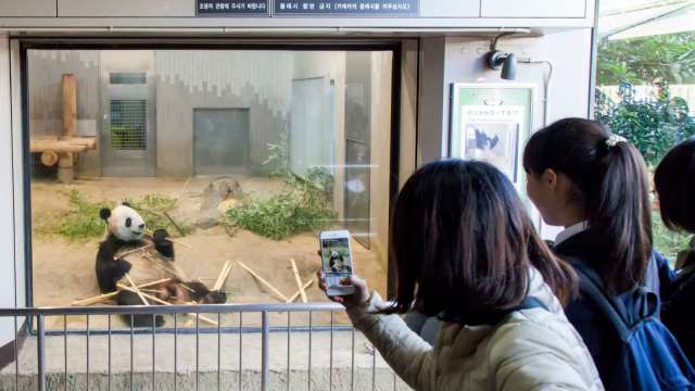 cover image of news article