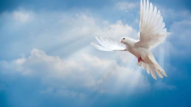 鴿派訊號重新主導市場預期 聯準會12月降息機率飆升至81%(圖:shutterstock)