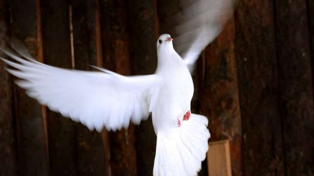 cover image of news article