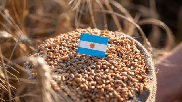 阿根廷首次向中國出口小麥。(圖:Shutterstock)