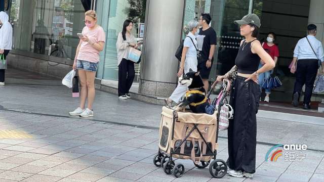 「毛小孩」數量暴增 全台三都成寵物定居熱區。(鉅亨網記者張欽發攝)