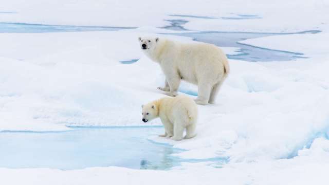 北極氣溫再創新高，寫下1900年以來最高值。（圖：Shutterstock）
