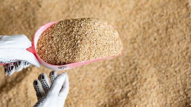 農產品價格回穩 黃豆由兩個月低點小幅回升 小麥見逢低買盤