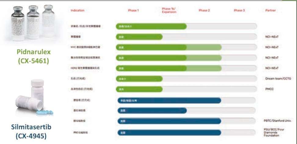 臨床試驗項目圖  圖:生華科提供