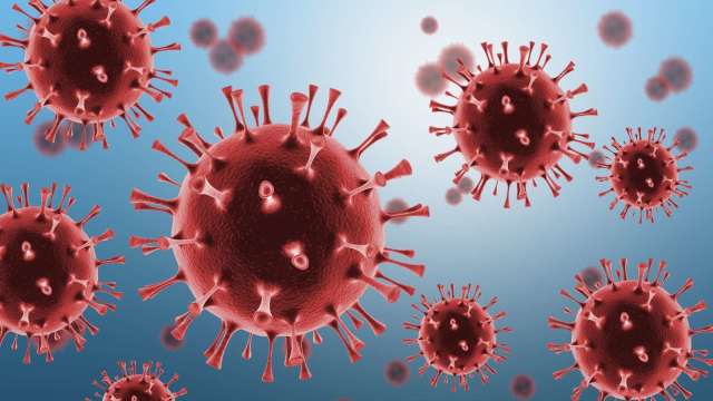 印度爆發立百病毒疫情，防疫股全面上攻。(圖：shutterstock)