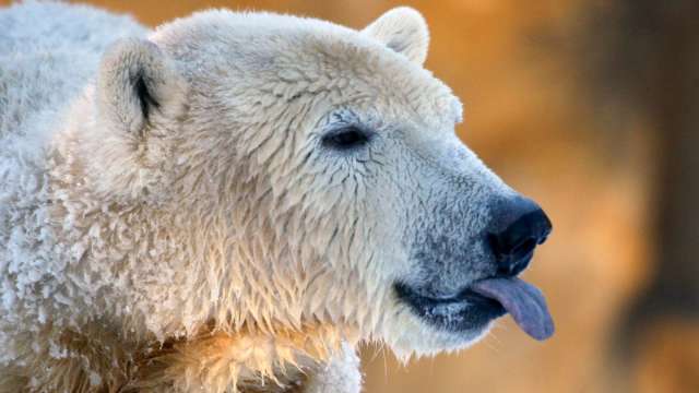 二大重要指標指向 美股熊市逐漸成形 (圖:REUTERS/TPG)