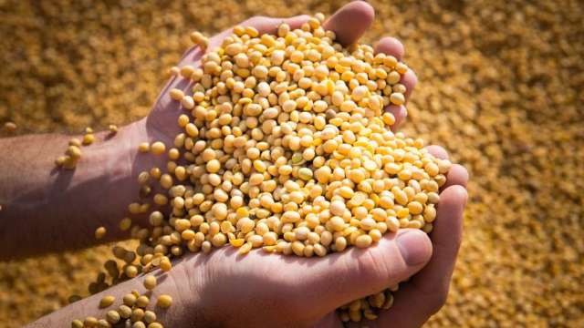 川習會前釋善意 中方有意增購美牛、大豆等農產品。(圖:shutterstock)