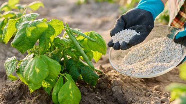 中東戰事升溫 傳中國收緊化肥出口管制 以確保春耕糧食安全(圖:shutterstock)