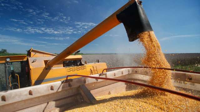 從能源、化肥到糧食 美銀：荷姆茲海峽封鎖可能引爆農產品價格(圖:shutterstock)